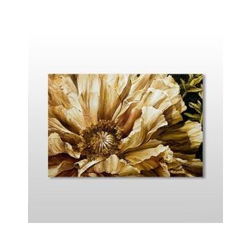 Technopa Gül Kurumuş 45x30 cm Kanvas Tablo