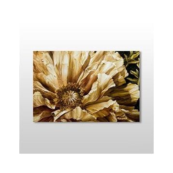 Technopa Gül Kurumuş 60x40 cm Kanvas Tablo
