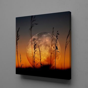 Technopa Gün Batımı Manzarası 100x100 cm Kanvas Tablo