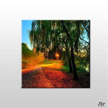 Technopa Güneşin Dokunuşu 100x100 cm Kanvas Tablo