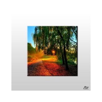 Technopa Güneşin Dokunuşu 60x60 cm Kanvas Tablo
