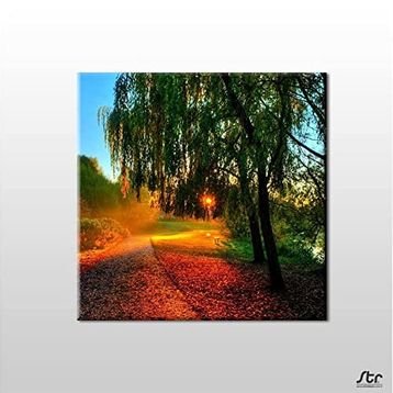 Technopa Güneşin Dokunuşu 60x60 cm Kanvas Tablo