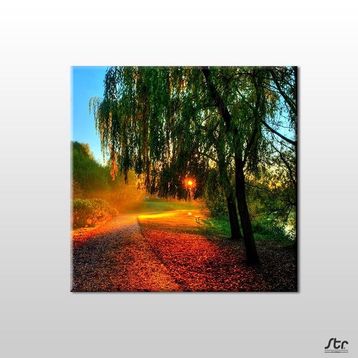 Technopa Güneşin Dokunuşu 70x70 cm Kanvas Tablo