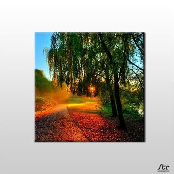 Technopa Güneşin Dokunuşu 90x90 cm Kanvas Tablo
