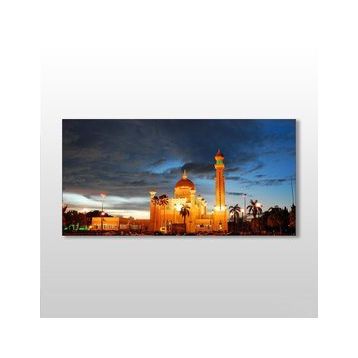 Technopa Hindistan Camii 100x50 cm Kanvas Tablo
