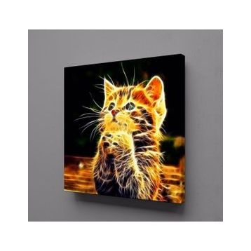 Technopa Işıltılı Kedi 110x110 cm Kanvas Tablo