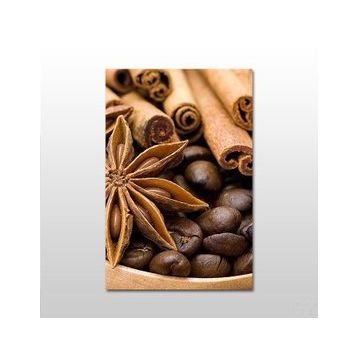 Technopa Kahve Çekirdeği ve Tarçın 140X70 cm Kanvas Tablo