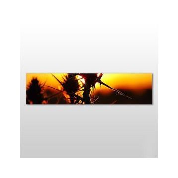 Technopa Kaktüs 180x60 cm Kanvas Tablo