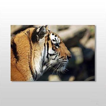 Technopa Kaplan 120x80 cm Kanvas Tablo