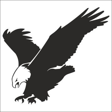 Technopa Kartal 200 cm Folyo Duvar Stickerı