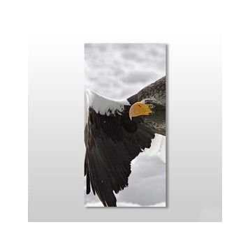 Technopa Kartal 60x90 cm Kanvas Tablo