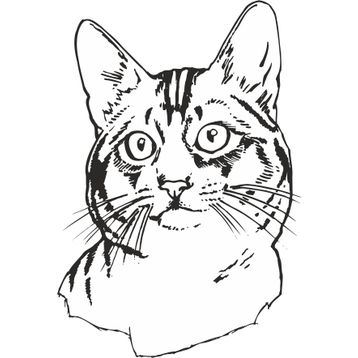 Technopa Kedi 100 cm Folyo Duvar Stickerı