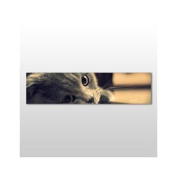 Technopa Kedi 150x50 cm Kanvas Tablo