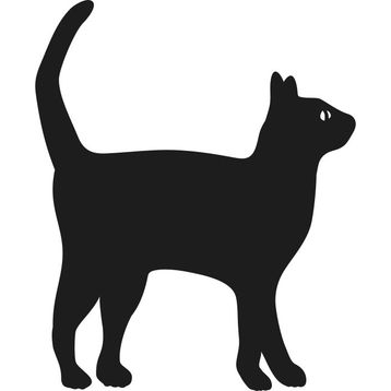 Technopa Kedi 20 cm Folyo Duvar Stickerı