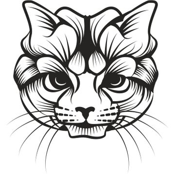 Technopa Kedi 30 cm Folyo Duvar Stickerı