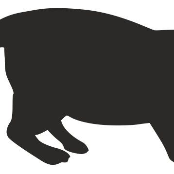 Technopa Kedi 40 cm Folyo Duvar Stickerı