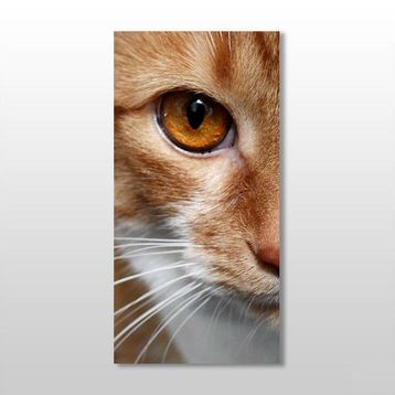 Technopa Kedi 50x75 cm Kanvas Tablo