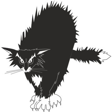 Technopa Kedi 60 cm Folyo Duvar Stickerı