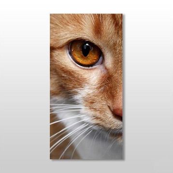 Technopa Kedi 70x105 cm Kanvas Tablo