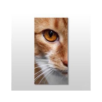 Technopa Kedi 70x105 cm Kanvas Tablo