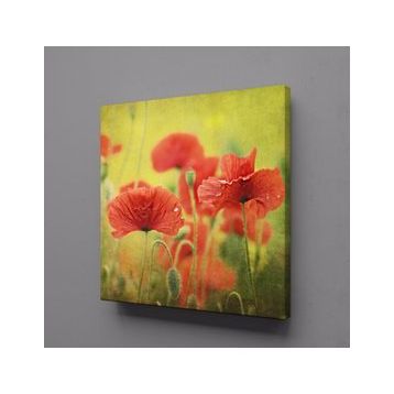 Technopa Kırmızı Çiçekler 30x30 cm Kanvas Tablo