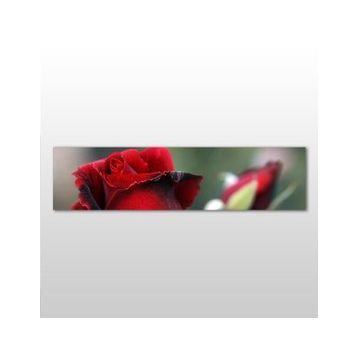 Technopa Kırmızı Gül 90x30 cm Kanvas Tablo