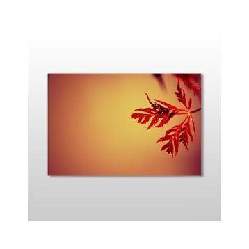 Technopa Kızıl Yaprak 105x70 cm Kanvas Tablo