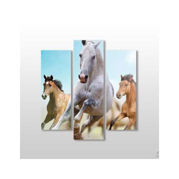 Technopa Koşan Atlar 102x110 cm Kanvas Tablo