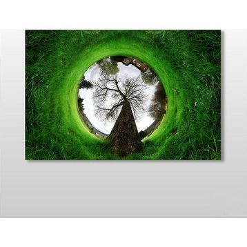Technopa Küre Çimenlik 105x70 cm Kanvas Tablo