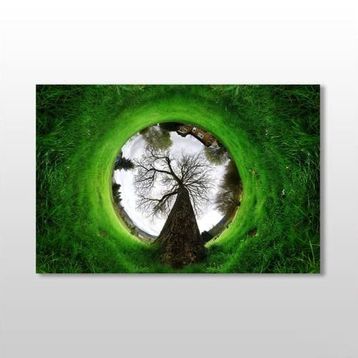 Technopa Küre Çimenlik 120x80 cm Kanvas Tablo