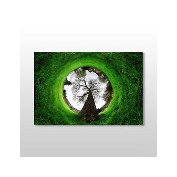 Technopa Küre Çimenlik 150x100 cm Kanvas Tablo