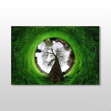 Technopa Küre Çimenlik 30x20 cm Kanvas Tablo