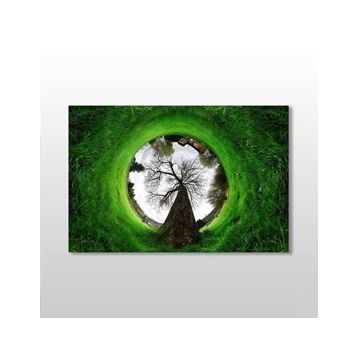 Technopa Küre Çimenlik 45x30 cm Kanvas Tablo