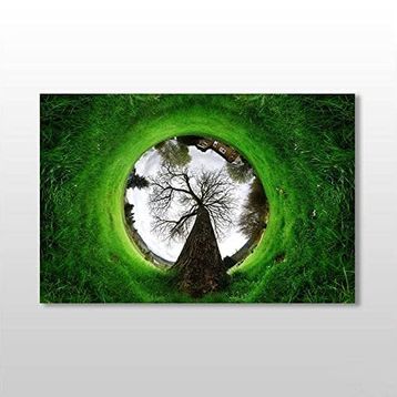 Technopa Küre Çimenlik 75x50 cm Kanvas Tablo