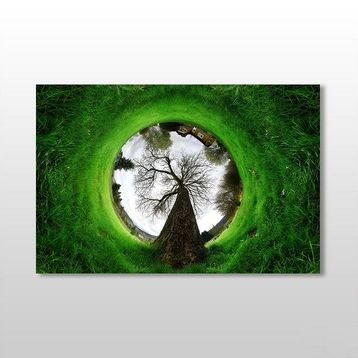 Technopa Küre Çimenlik 75x50 cm Kanvas Tablo