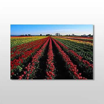 Technopa Lale Tarlası 75x50 cm Kanvas Tablo