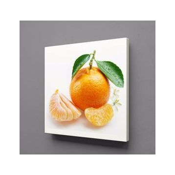 Technopa Mandalina 80x80 cm Kanvas Tablo