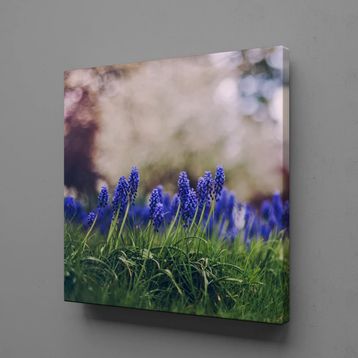 Technopa Mor Çiçek Tarlası 30x30 cm Kanvas Tablo