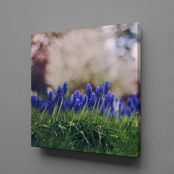 Technopa Mor Çiçek Tarlası 40x40 cm Kanvas Tablo