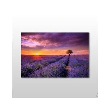 Technopa Mor Çiçekli Tarla 150x100 cm Kanvas Tablo