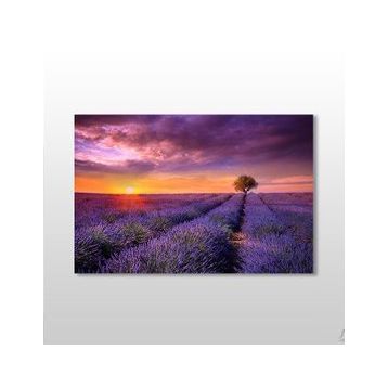 Technopa Mor Çiçekli Tarla 45x30 cm Kanvas Tablo