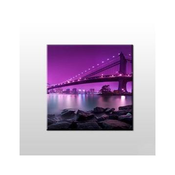 Technopa Mor Yansıtması Köprü 60x60 cm Kanvas Tablo