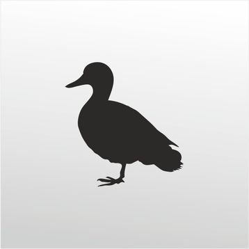 Technopa Ördek 80 cm Folyo Duvar Stickerı