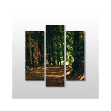 Technopa Orman 75x80 cm Kanvas Tablo