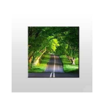 Technopa Orman Içindeki Yol 100x100 cm Kanvas Tablo