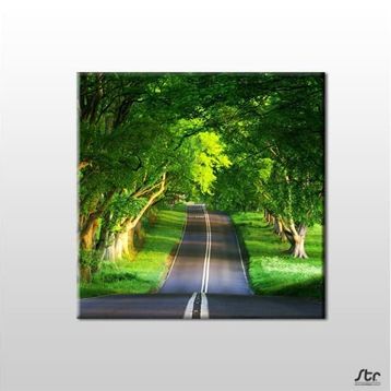 Technopa Orman Içindeki Yol 150x150 cm Kanvas Tablo