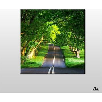Technopa Orman Içindeki Yol 80x80 cm Kanvas Tablo