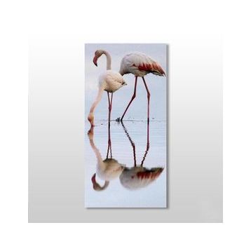 Technopa Pelikan 50x75 cm Kanvas Tablo