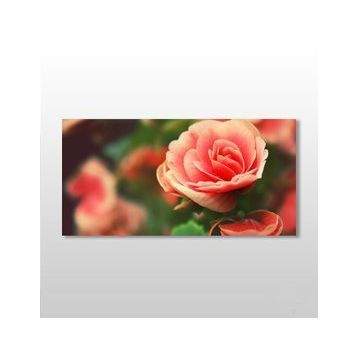 Technopa Pembe Gül 120X60 cm Kanvas Tablo