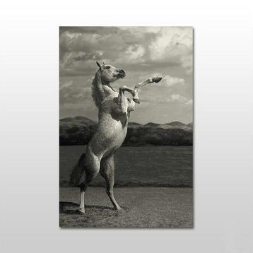 Technopa Şaha Kalkan At 100x50 cm Kanvas Tablo